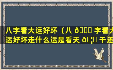 八字看大运好坏（八 🐝 字看大运好坏走什么运是看天 🦟 干还是地支）